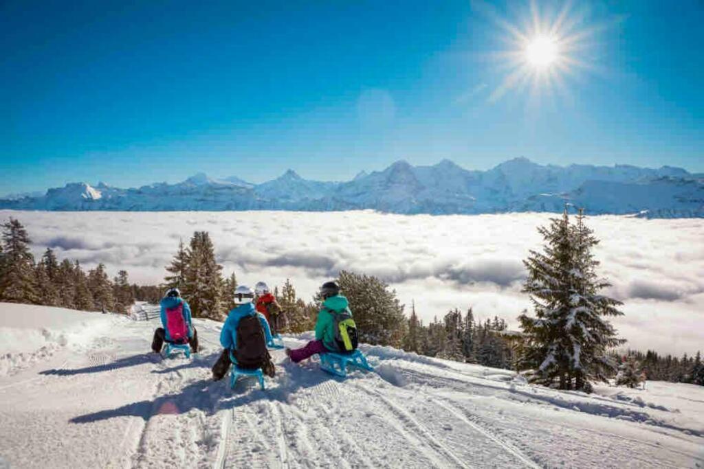Chalet Mignon - Your Vacation Oasis At Lake Brienz Bonigen Ngoại thất bức ảnh