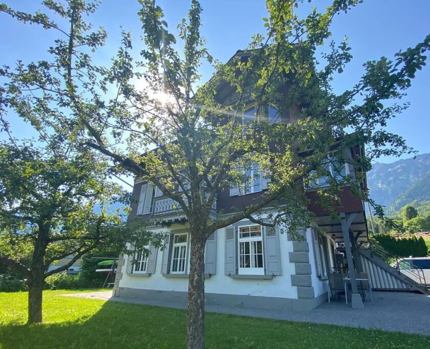 Chalet Mignon - Your Vacation Oasis At Lake Brienz Bonigen Ngoại thất bức ảnh